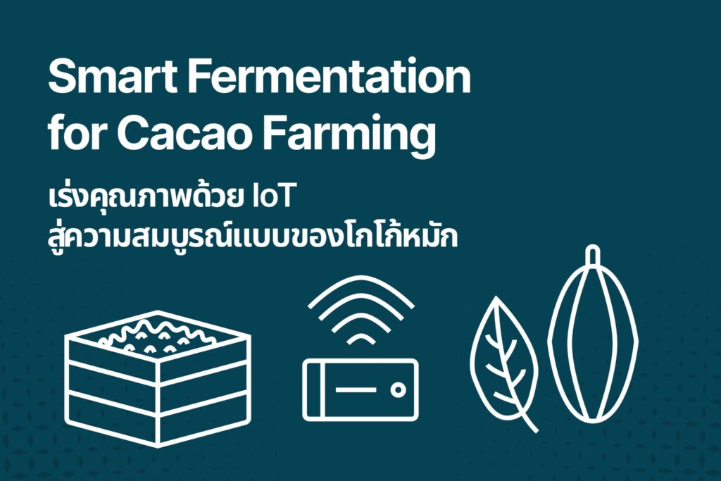 Smart Fermentation for Cacao Farming เร่งคุณภาพด้วย IoT สู่ความสมบูรณ์แบบของโกโก้หมัก