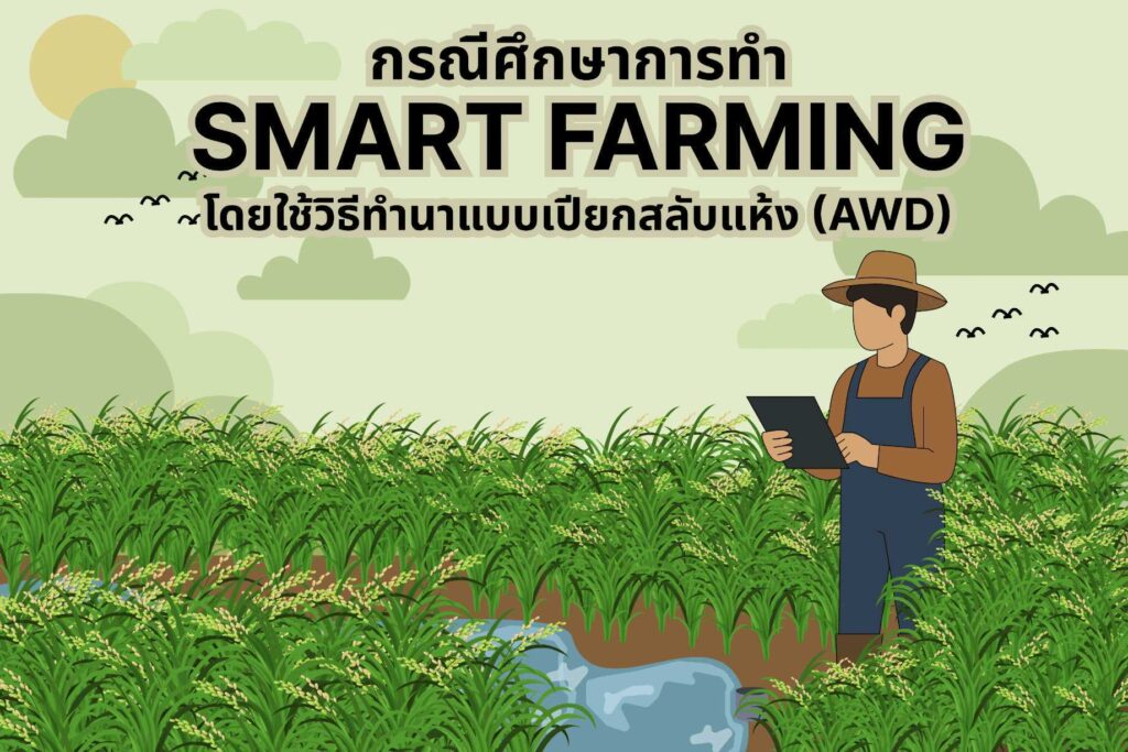 กรณีศึกษาการทำ Smart Farming โดยใช้วิธีทำนาแบบเปียกสลับแห้ง (AWD)